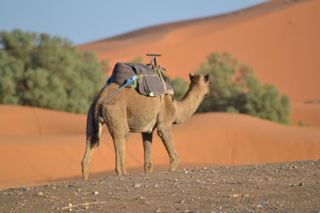 Hotel Luxury Maktoub Merzouga Exterior foto